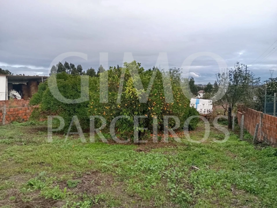 Terreno para Venda em Requeixo, Nossa Senhora de Fátima e Nariz Foto 10