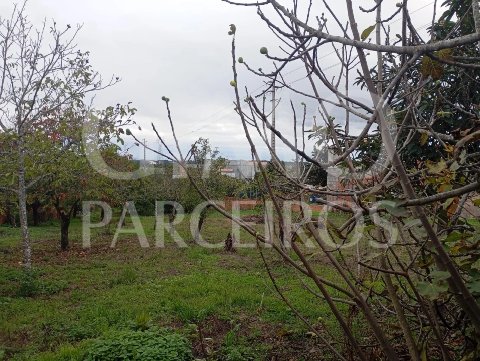 Terreno para Venda em Requeixo, Nossa Senhora de Fátima e Nariz Foto 12