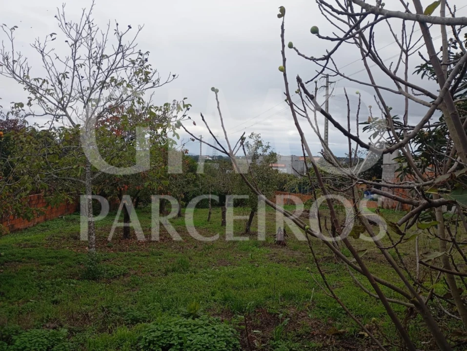Terreno para Venda em Requeixo, Nossa Senhora de Fátima e Nariz Foto 13