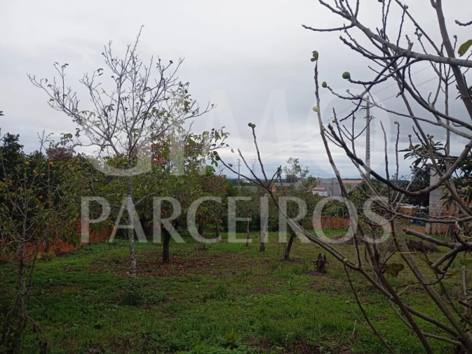 Terreno para Venda em Requeixo, Nossa Senhora de Fátima e Nariz Foto 3