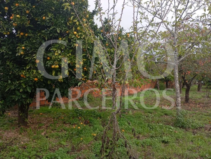 Terreno para Venda em Requeixo, Nossa Senhora de Fátima e Nariz Foto 6