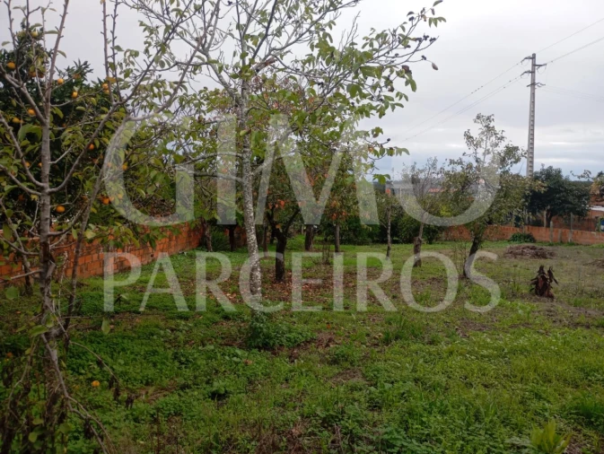 Terreno para Venda em Requeixo, Nossa Senhora de Fátima e Nariz Foto 7