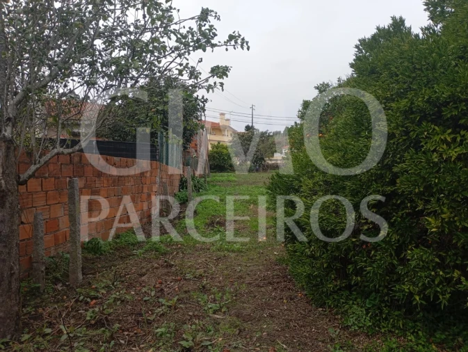 Terreno para Venda em Requeixo, Nossa Senhora de Fátima e Nariz Foto 9