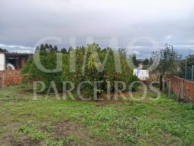 Terreno para Venda em Requeixo, Nossa Senhora de Fátima e Nariz Foto 10