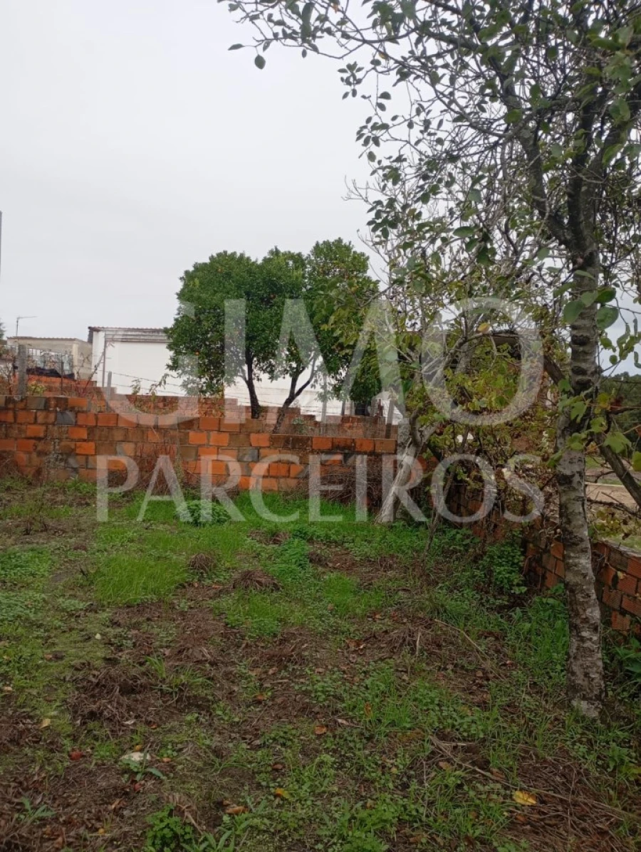 Terreno para Venda em Requeixo, Nossa Senhora de Fátima e Nariz Foto 11