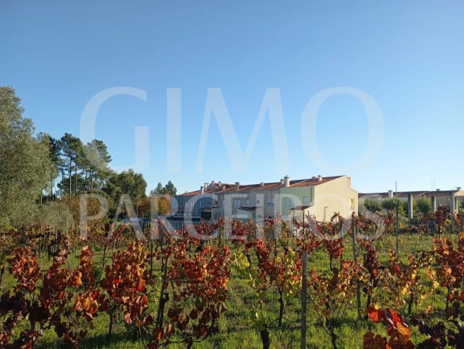 Terreno para Venda em Oiã Foto 2