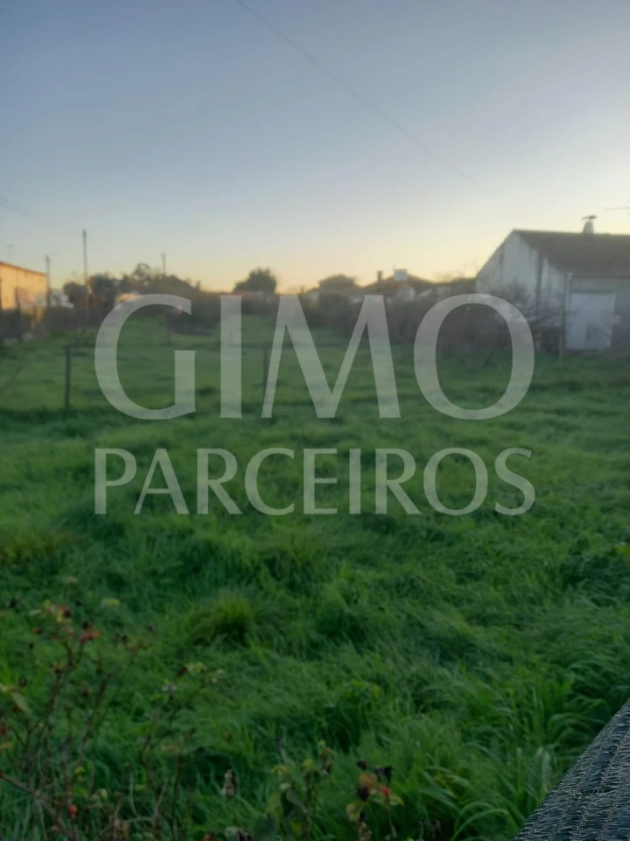 Terreno para Venda em Oiã Foto 4