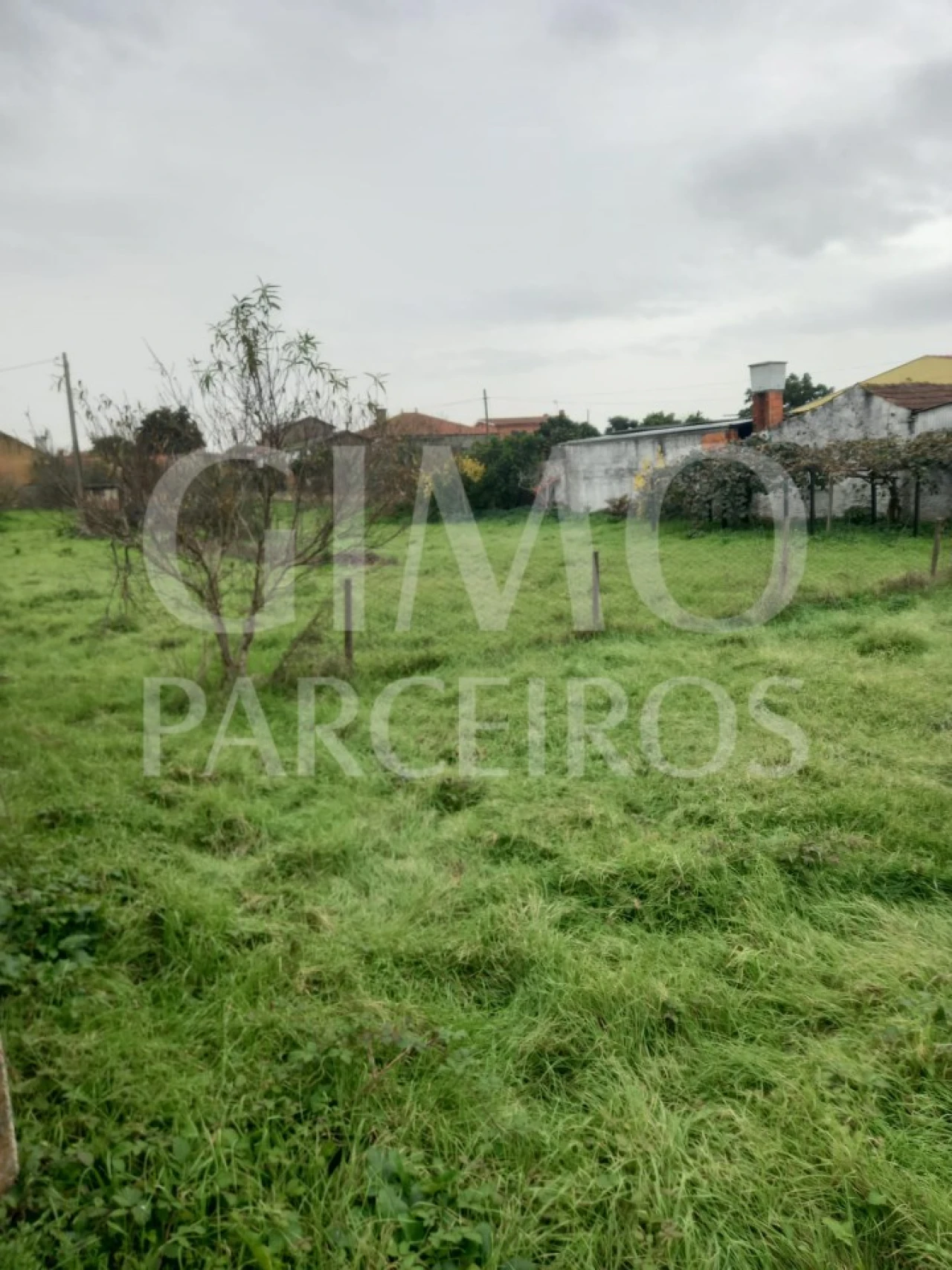 Terreno para Venda em Oiã Foto 3