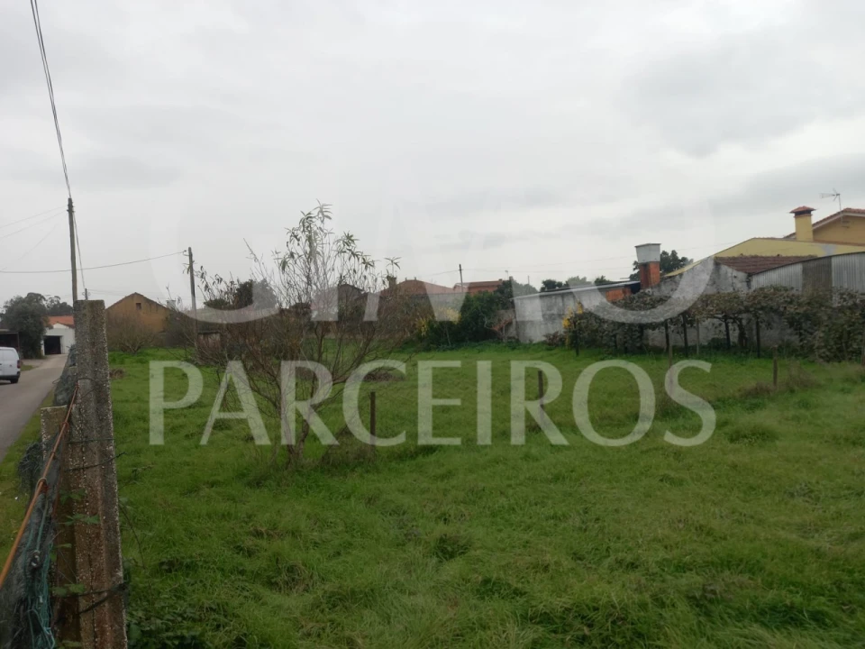 Terreno para Venda em Oiã Foto 6