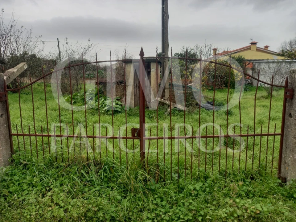 Terreno para Venda em Oiã Foto 8