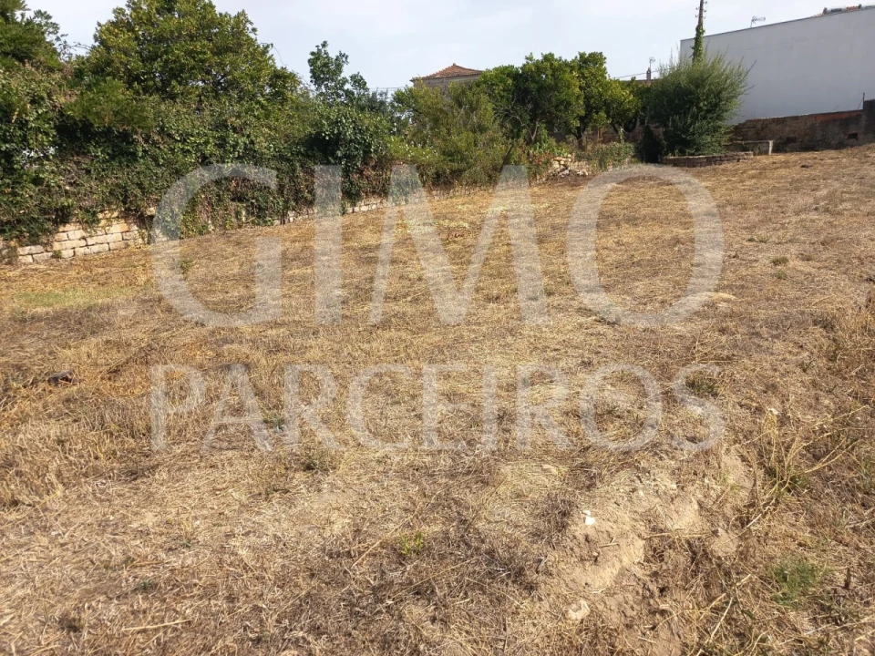 Terreno para Venda em Oiã Foto 6