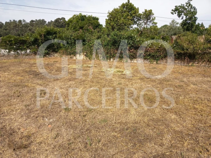 Terreno para Venda em Oiã Foto 1