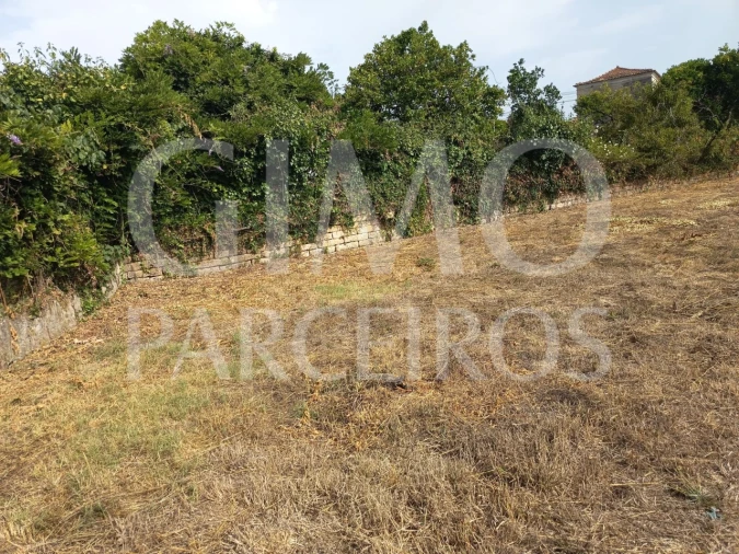 Terreno para Venda em Oiã Foto 2