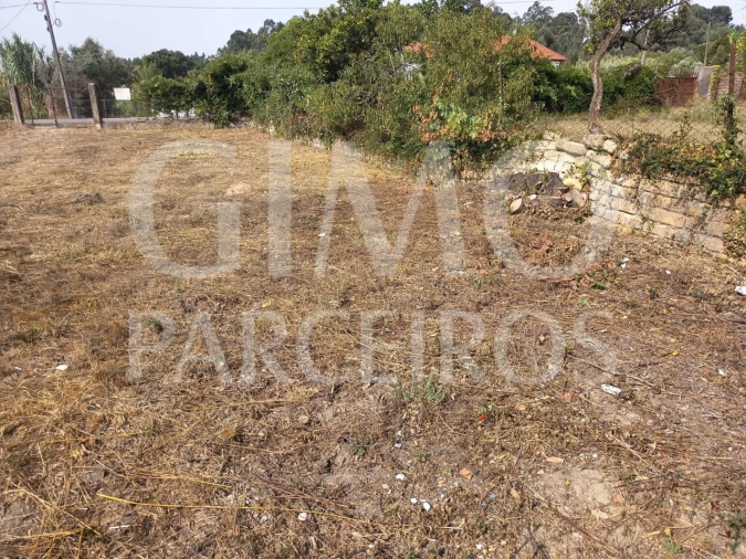 Terreno para Venda em Oiã Foto 5