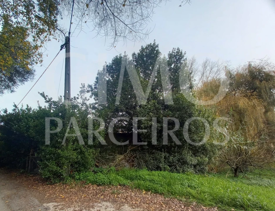 Terreno para Venda em Oiã Foto 3