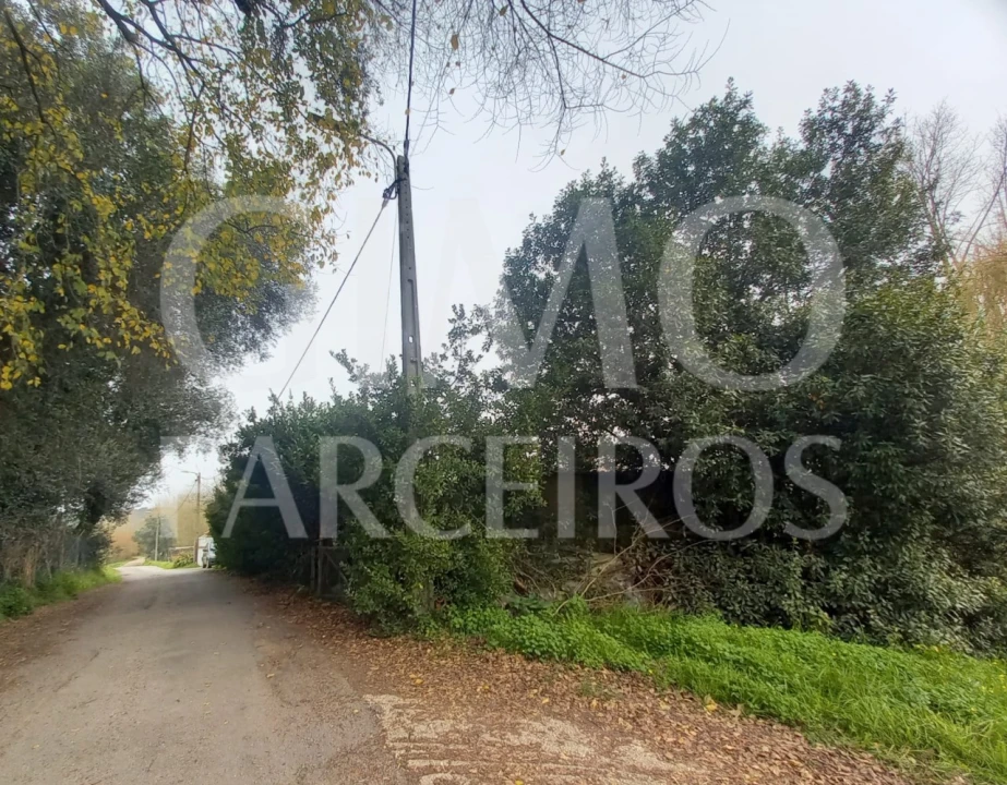 Terreno para Venda em Oiã Foto 5