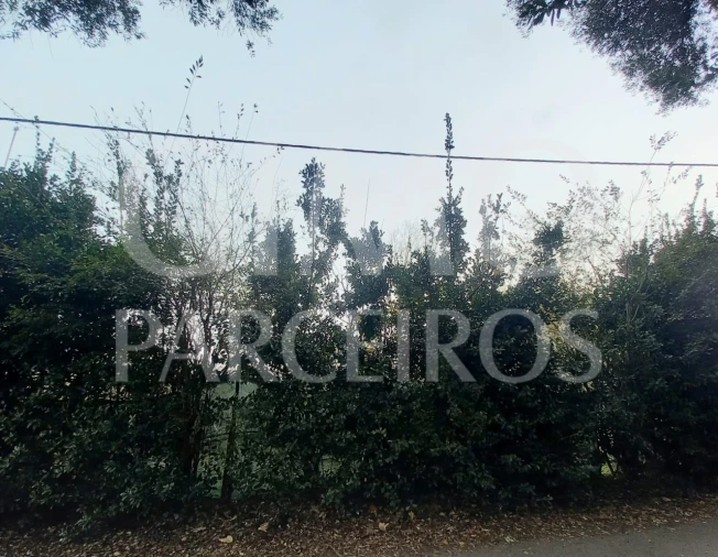 Terreno para Venda em Oiã Foto 2