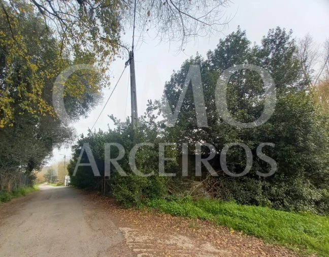 Terreno para Venda em Oiã Foto 5