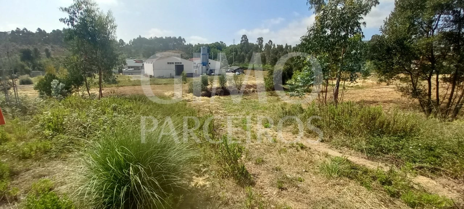 Terreno para Venda em Oiã Foto 2