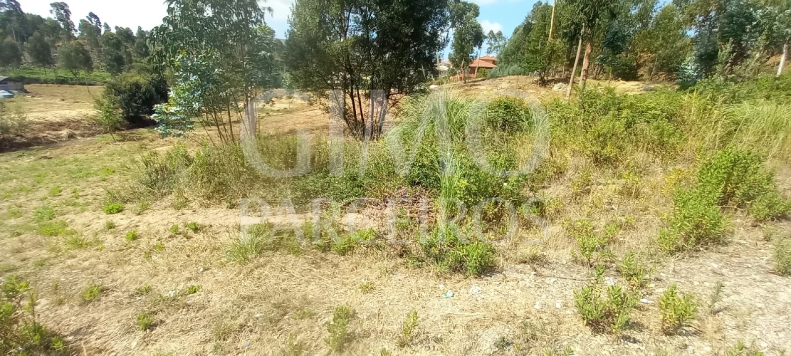 Terreno para Venda em Oiã Foto 3