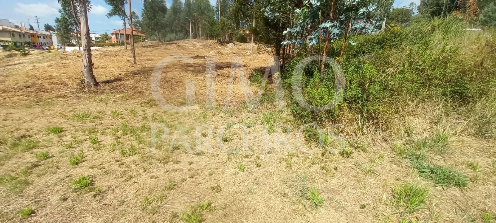 Terreno para Venda em Oiã Foto 4