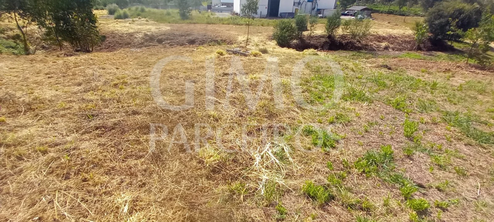 Terreno para Venda em Oiã Foto 5