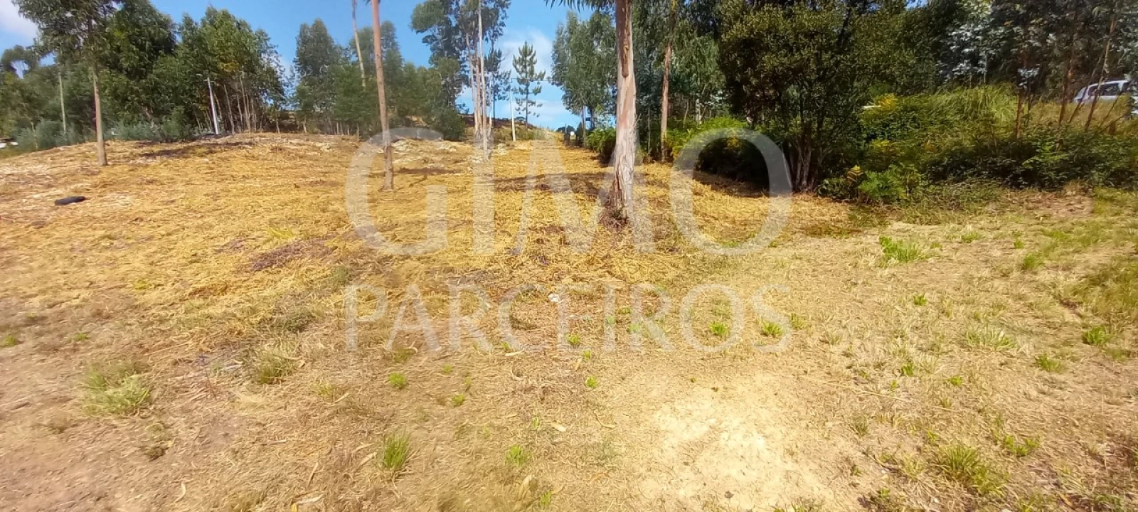 Terreno para Venda em Oiã Foto 8