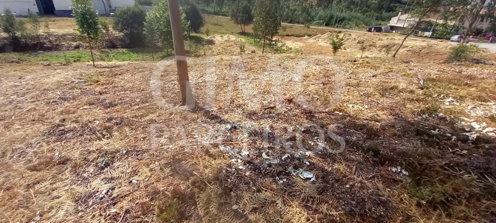 Terreno para Venda em Oiã Foto 10