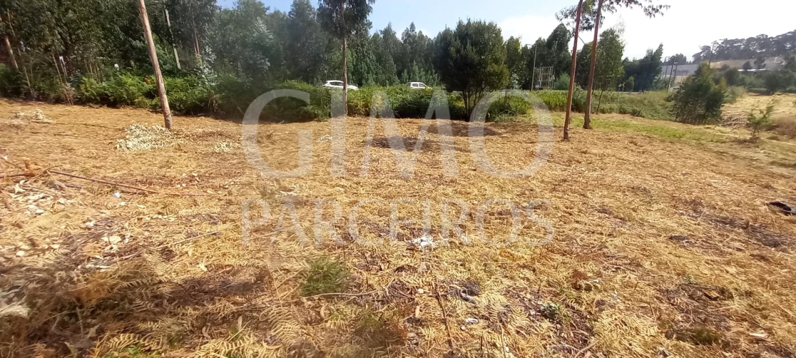 Terreno para Venda em Oiã Foto 11