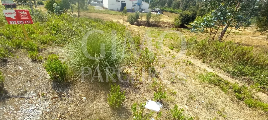 Terreno para Venda em Oiã Foto 1