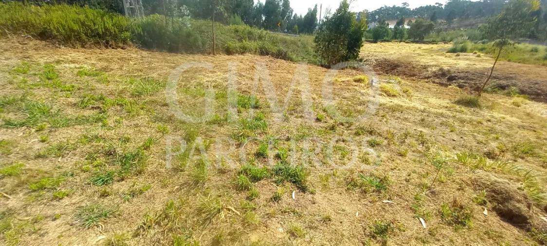 Terreno para Venda em Oiã Foto 6