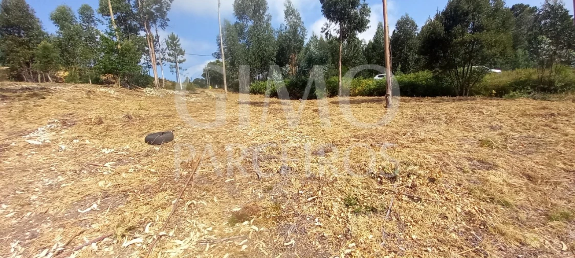 Terreno para Venda em Oiã Foto 7