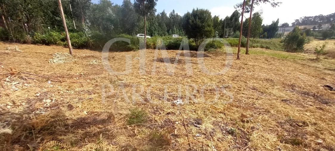 Terreno para Venda em Oiã Foto 11