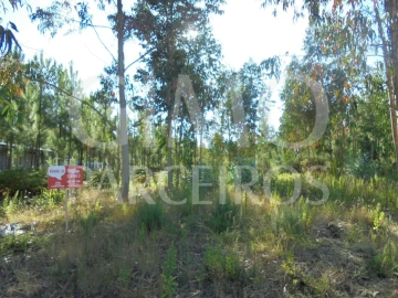 Terreno para Venda em Oliveira do Bairro