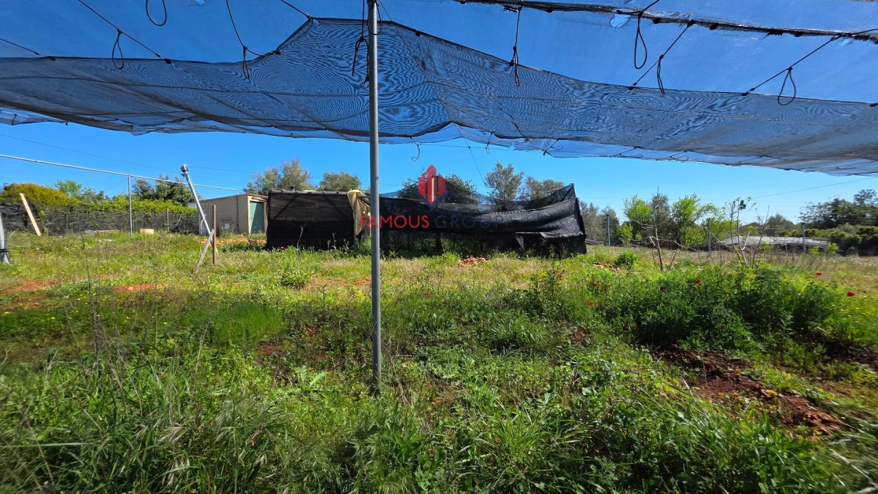 Terreno Agricola ou Rústico para Venda em São Bartolomeu de Messines Foto 23