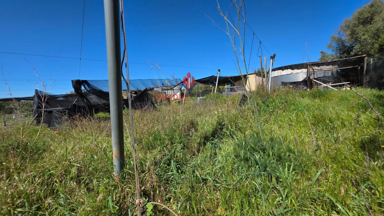 Terreno Agricola ou Rústico para Venda em São Bartolomeu de Messines Foto 36