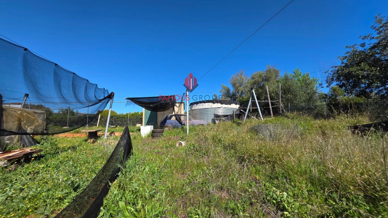 Terreno Agricola ou Rústico para Venda em São Bartolomeu de Messines Foto 37