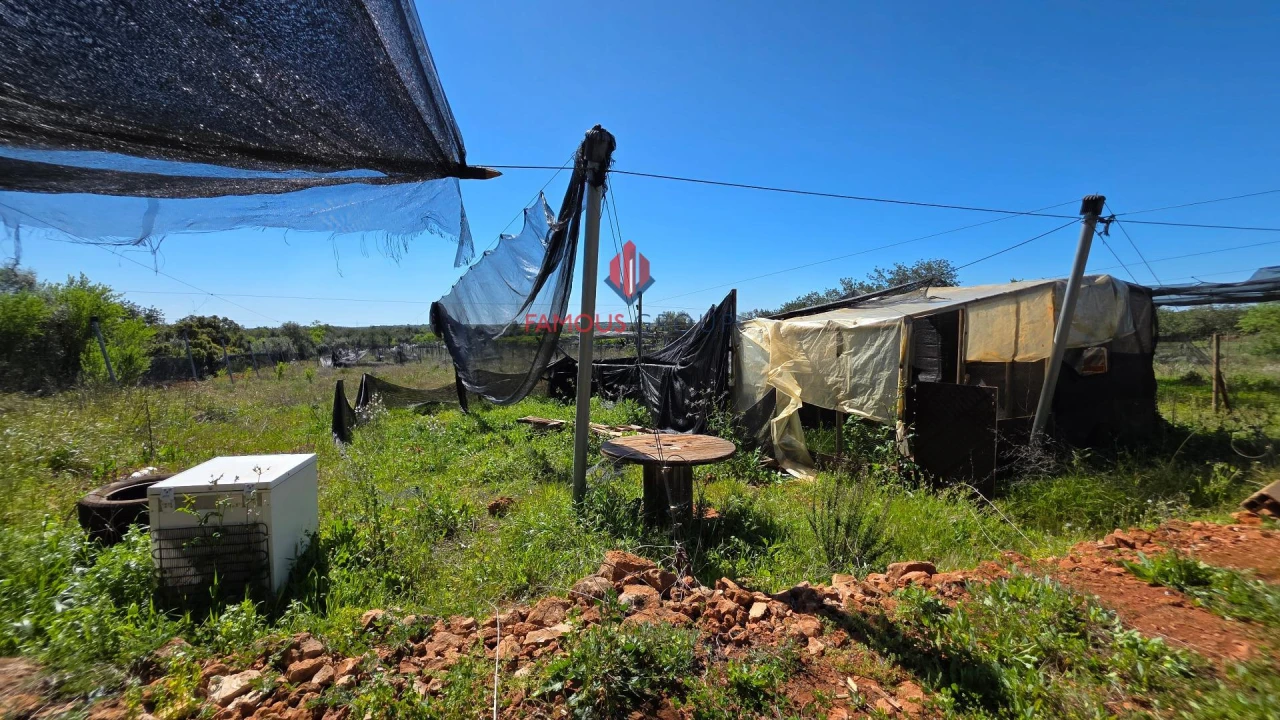 Terreno Agricola ou Rústico para Venda em São Bartolomeu de Messines Foto 40