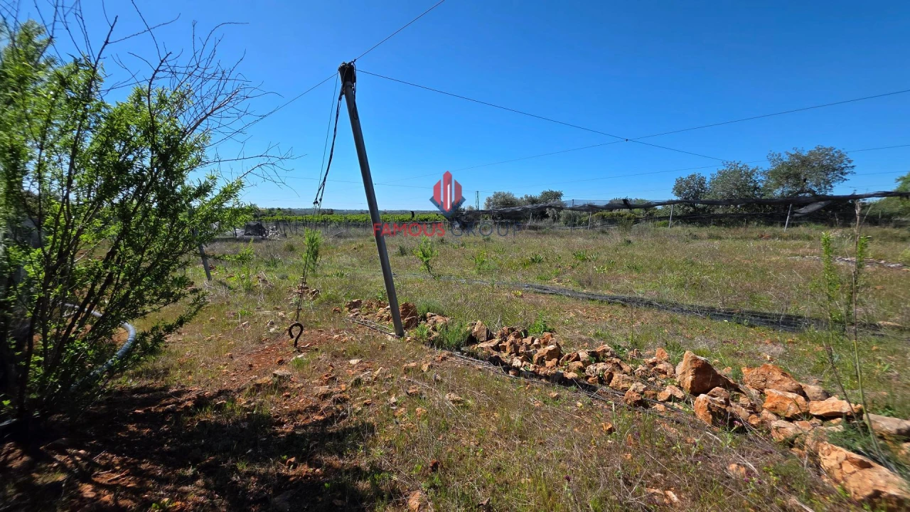 Terreno Agricola ou Rústico para Venda em São Bartolomeu de Messines Foto 7