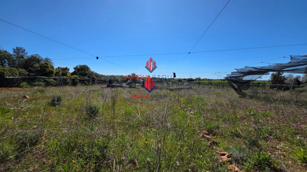 Terreno Agricola ou Rústico para Venda em São Bartolomeu de Messines Foto 28