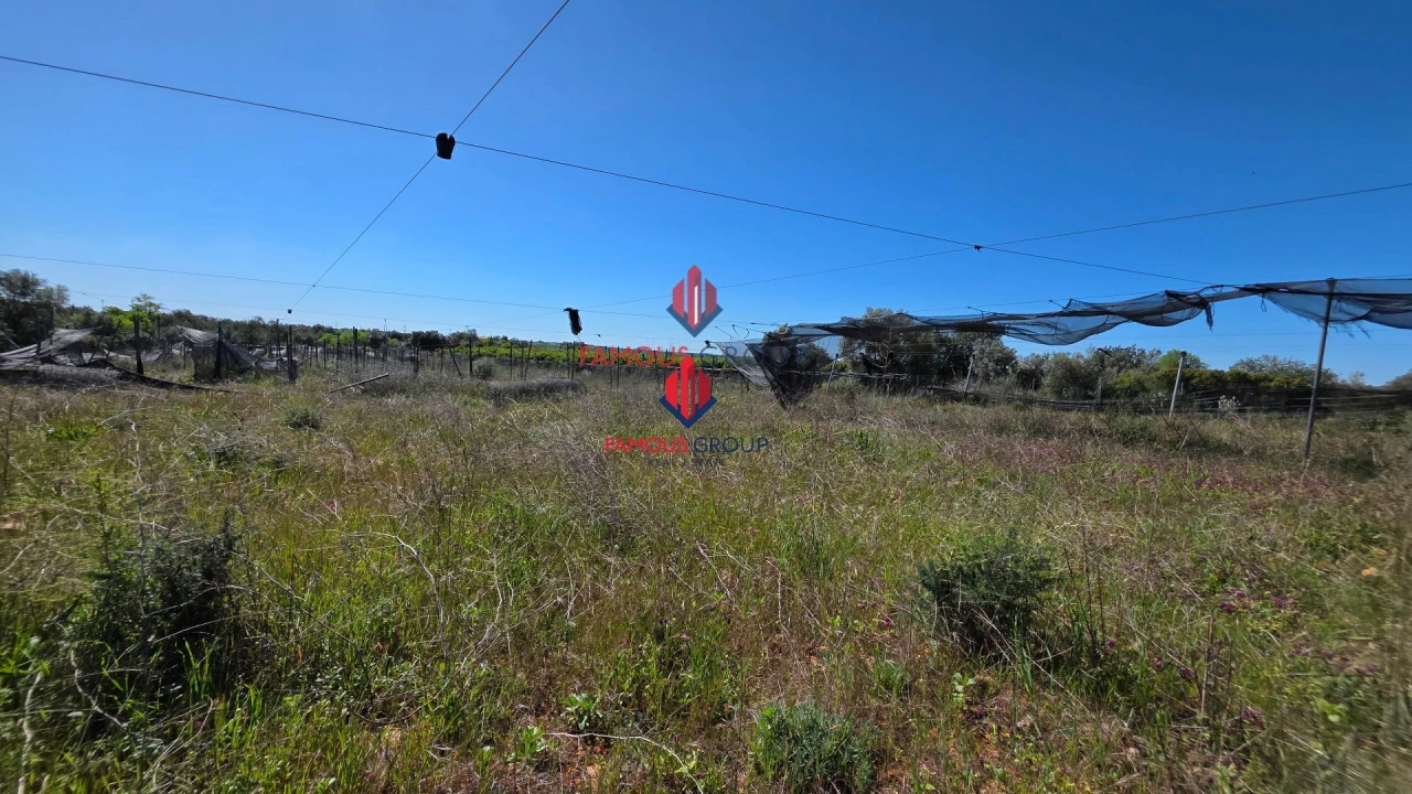 Terreno Agricola ou Rústico para Venda em São Bartolomeu de Messines Foto 29