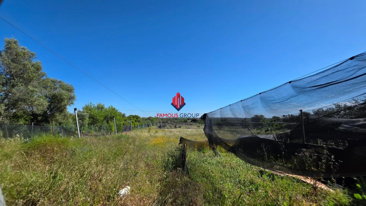 Terreno Agricola ou Rústico para Venda em São Bartolomeu de Messines Foto 47
