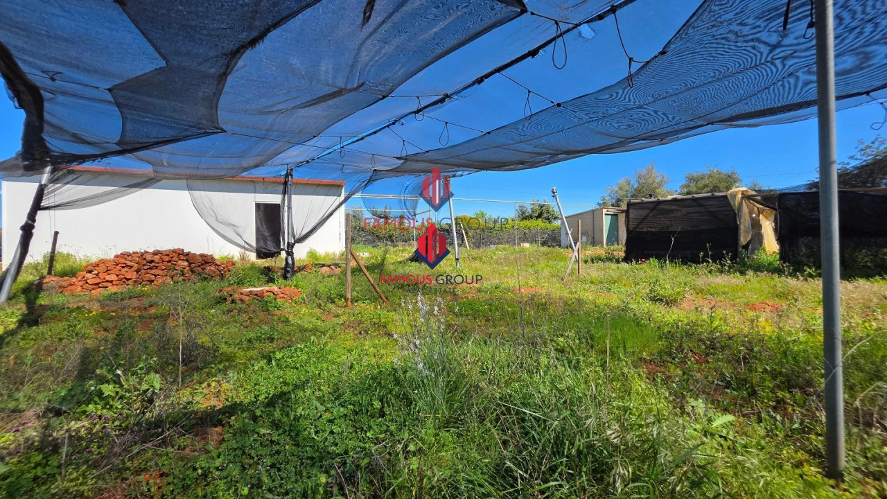 Terreno Agricola ou Rústico para Venda em São Bartolomeu de Messines Foto 9
