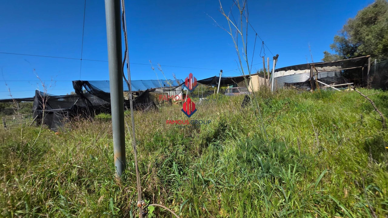 Terreno Agricola ou Rústico para Venda em São Bartolomeu de Messines Foto 36