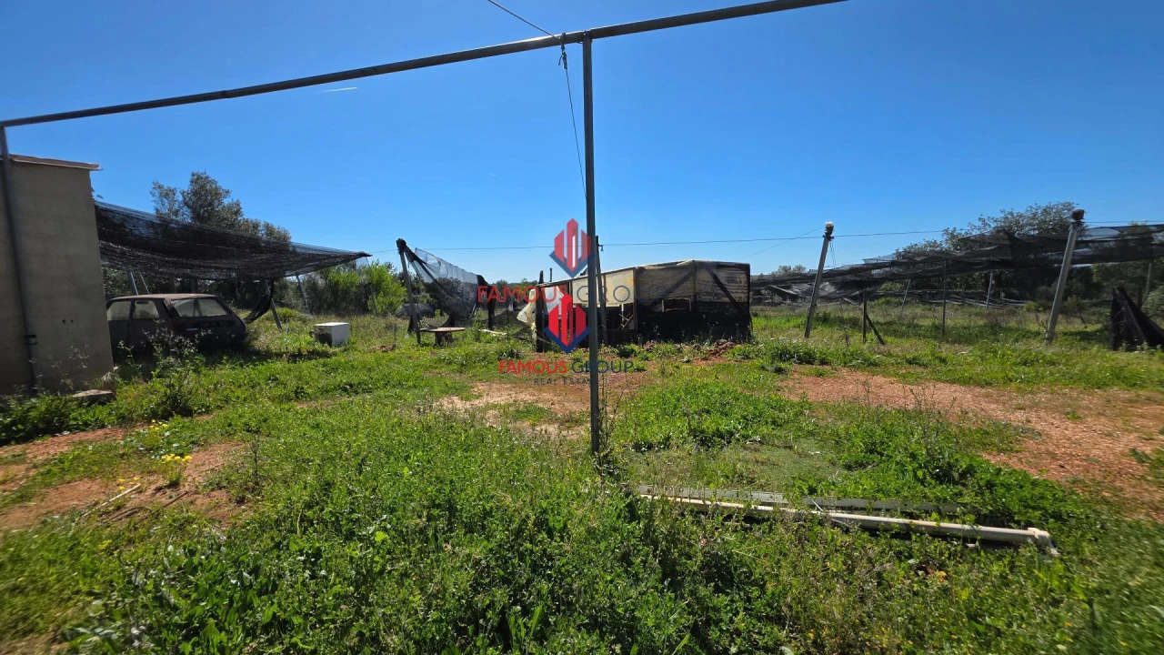 Terreno Agricola ou Rústico para Venda em São Bartolomeu de Messines Foto 38