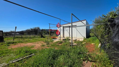 Terreno Agricola ou Rústico para Venda em São Bartolomeu de Messines