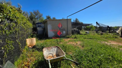 Terreno Agricola ou Rústico para Venda em São Bartolomeu de Messines