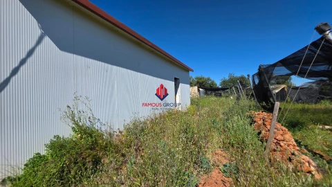 Terreno Agricola ou Rústico para Venda em São Bartolomeu de Messines