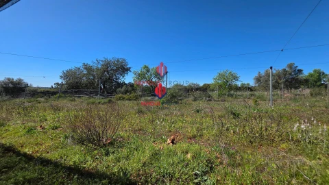 Terreno Agricola ou Rústico para Venda em São Bartolomeu de Messines