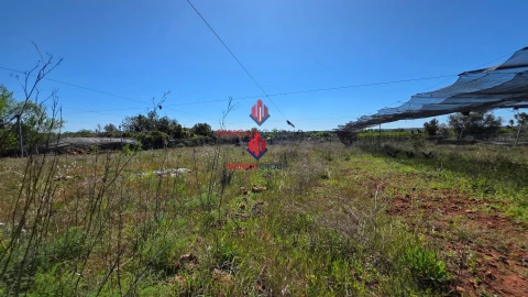 Terreno Agricola ou Rústico para Venda em São Bartolomeu de Messines